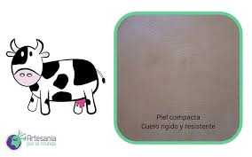 Los animales nos han ido acompañando durante mucho tiempo en el cine. Distintos Tipos De Cueros Y Pieles Elige El Mejor Para Tu Proyecto Artesania Por El Mundo