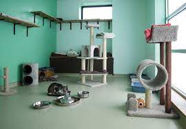 Maybe you would like to learn more about one of these? 11 Pet Adoption And Foster Organizations To Check Out Cincinnati Magazine