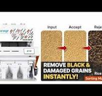 Rice Color Sorting Machine | High Precision Optical Rice ...