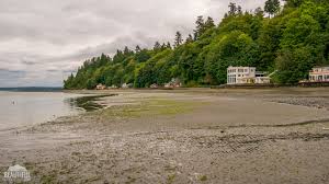 Jun 23, 2021 · officials with the city of east ridge announced that their city was awarded one of only 15 $25,000 grants as part of the 2021 tennessee dog park dash by the boyd foundation. Dash Point State Park Water Recreation Federal Way Wa