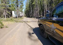 The only app with truck optimized gps routes, diesel fuel, weigh stations, overnight parking, walmart, and rest areas. Truck Driver Following Routing App Ends Up On Atv Road Troopers Say