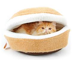 49 joules of kinetic energy was added to the cat by the jump in 0.2 seconds. Amazon Com Modovo Hamburger Design Washable Pet House Dog House Cat House 20 47 X 15 75 X 11 81 Inches Pet Cat Sleeping Washable Pet Bed Dog Sleeping Bag