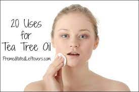Awaken Yourself About The Top 7 Melaleuca Oil Benefits Tea Tree Do It Yourself Recipes 20 Uses For Tea Tree Oil Tea Tree Oil Tea Tree Oil For Acne Tea Tree