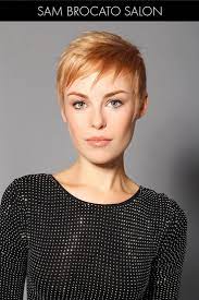 Pin By Dolores Delcampo On Hair Ideas Blonde Short Hair Pixie Short Hair Styles Short Blonde Hair