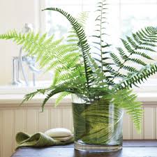 Feng Shui Leed Tips On How To Improve Your Bathroom Winter Flower Arrangements Flower Arrangements Winter Flowers