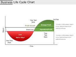 business life cycle chart example of ppt powerpoint slide