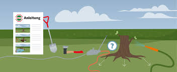 Normalbaum fällen mit stützleiste bei normal gewachsenen bäumen ist die fällung mit stützleiste zu empfehlen. Baumwurzel Entfernen Komplette Anleitung Hagebau De