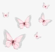 We did not find results for: Pink Aesthetic Butterfly Png Transparent Png Kindpng