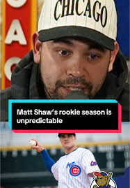 Bartman Cubs Explained