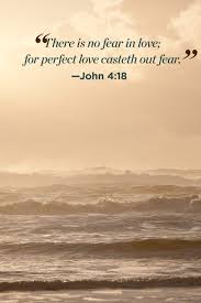41 Bible Quotes That Ll Change Your Perspective Scripture Quotes Bible Inspirational Bible Quotes Scripture Verses