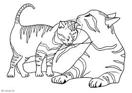 Pin Auf Biby Katzen