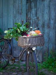 Harvest By Felicia Bicycle Basket Beautiful Bicycle
