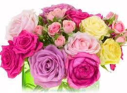 Maybe you would like to learn more about one of these? Valentine Day Flowers Hd Images Photos Pics