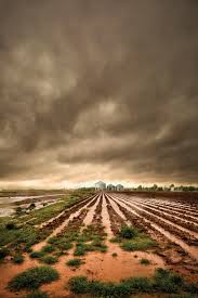 Texarkana gazette prizeweek puzzle answers. Texarkana Gazette