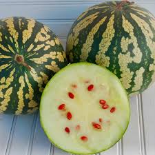 Image result for Citrullus lanatus