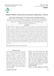 Check spelling or type a new query. Pdf Diabetes Mellitus In Dogs And Its Associated Complications A Review