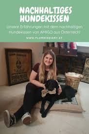 pin auf rund um den hund