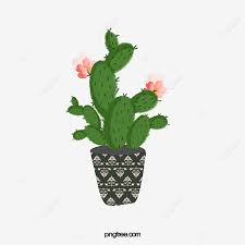 We wanted a plant that was basically zero maintenance. Green Prickly Pear Cactus Bloom Pear Greenery Prickly Pear Png Transparent Clipart Image And Psd File For Free Download
