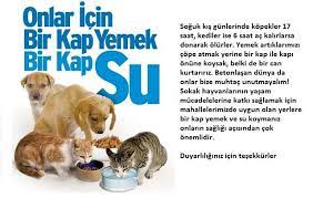 hayvanlara yonelik sosyal sorumluluk projeleri ekolojist net hayvan hayvan haklari hayvanat bahceleri