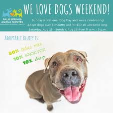 Each and every one of them deserves to be loved. Palm Springs Animal Shelter On Twitter Come Out This Weekend And Adopt A Dog Over 6 Months For Just 30 Palmsprings Coachellavalley All Sorts Of Goodies From Dwawater Cheftanyaskitch Https T Co Nbb6vp41ai