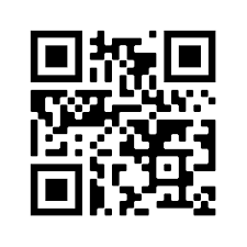 Was Ist Ein Qr Code Einfach Erklart Mit Anleitung Ionos