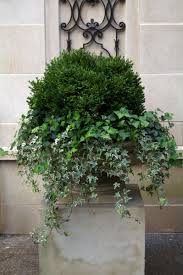 Pin By Georgia Seljaas On Topiarius Summer Annuals Luxury Garden French Country Garden Decor Urban Gardening Balcony