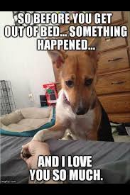 Pin By Linda Wilson On Puppy Love Funny Animals With Captions Funny Dog Pictures Funny Animals