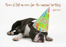 This Is A Real Card Not An E Card Shared From Sendcere Happy Birthday Puppy Happy Birthday Dog Dog Lovers Birthday