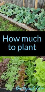 How Much To Plant How Many Of Each Plant To Grow Organic Gardening Organi Vegetable Garden For Beginners Organic Vegetable Garden Gardening For Beginners