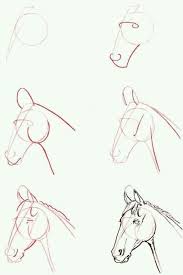 Painting Horse Head 41 Ideas Easy Horse Drawing Horse Drawings Horse Drawing Tutorial