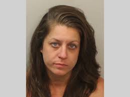 LCSO Daily Booking Report