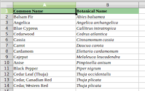 Alphabet refers to the letters of a language, arranged in the order fixed by custom. Libreoffice How To Align A Set Of Names In Alphabetical Order Using Libre Office Ask Ubuntu