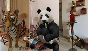 Giant Panda 3d Not Working Iphone