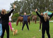 Mindful Movement with Horses