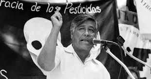 Cesar was born on march 31, 1927. On Cesar Chavez Day A Look At The Labor Leader S Complex Legacy