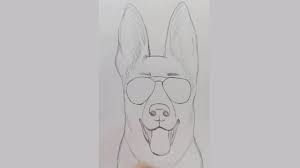 Art tools have become much developed nowadays, which helps the modern artists to work with various high end tools for their drawings to add more realistic views. How To Draw Dog Easy Drawing Dog With Sunglasses Easy Youtube