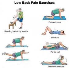 Pin On Back Pain