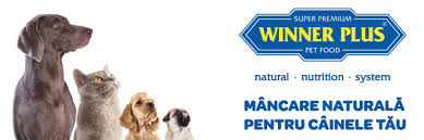 Cele mai frumoase nume de câini, inspirate de alte personaje din cărți. Nume De Caini Populare Top 100 Nume De Caini 2019