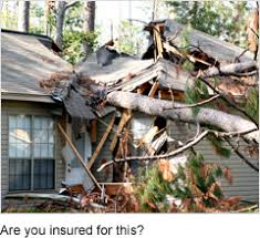 Most tree removal prices do not include. Will Homeowners Insurance Cover That Fallen Tree