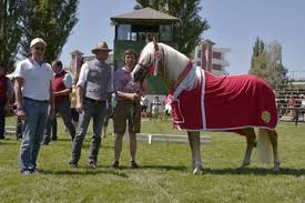 The maastricht treaty (formally known as the treaty on european union), which was signed on february 7, 1992, created the european union. News World Haflinger Breeding Sports Federation
