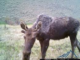 Steve Kamps of Buy Montana Land