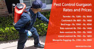 How to find best pest control services/supplies near me? Pest Control Gurgaon Rates And Prices Termites Bedbugs Cockroach