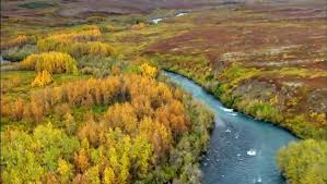 4:13:03 música relaxante para acalmar a mente e relaxar profundamente. Musica Relaxante Para Acalmar A Mente Meditacao Video Dailymotion