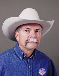 Powerline wildfires: Logging and reforestation solutions