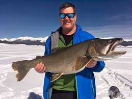 But in many cases, the fishing is only average. Tj With 38 5 Lake Trout Nice Fish Picture Of Ice Fish Colorado Gunnison Tripadvisor