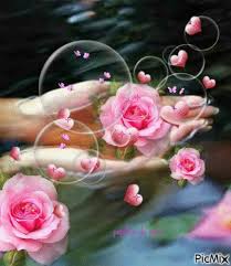 Sfondo rose rosse pictures gallery most relevant p 4 of 250. Barnybubble Immagini Di Fiori Rose Belle Foto Di Fiori