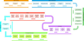 Make Professional Flow Chart Process Network Visio Diagram