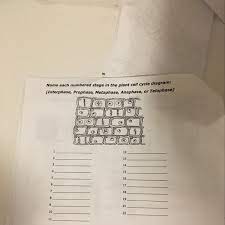 We did not find results for: Name Each Numbered Stage In The Plant Cell Cycle Diagram Interphase Prophase Metaphase Anaphase Brainly Com