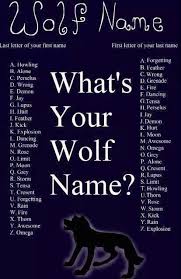 Tensa Forgetting Sounds Accurate My Derpy Wolf Name Is Tensa B Forgetting Wolf Name Funny Names Fantasy Names