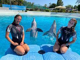 Vestiti col costume sotto, così se anche non vai in piscina non rischi il bagno nella discesa tronchi. Zoomarine I Nostri Amici Marco E Paco Vi Augurano Una Buona Giornata E Vi Aspettano A Zoomarine Insieme Ai Nostri Addestratori Mares Just Add Water Facebook